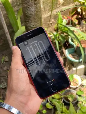 Apple iPhone SE 2 (Used)