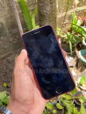Apple iPhone SE 2 (Used)