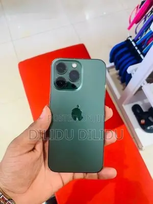 Apple iPhone 13 Pro (Used)