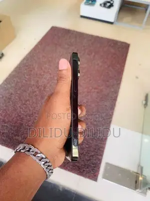Apple iPhone 13 Pro (Used)