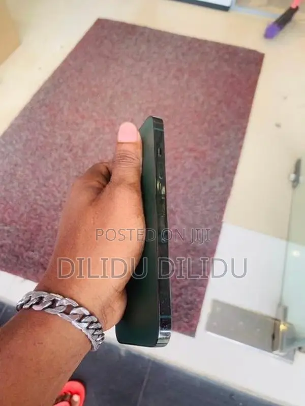 Apple iPhone 13 Pro (Used)