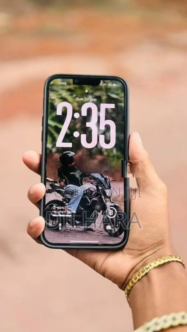 Apple iPhone 13 Pro Max (Used)