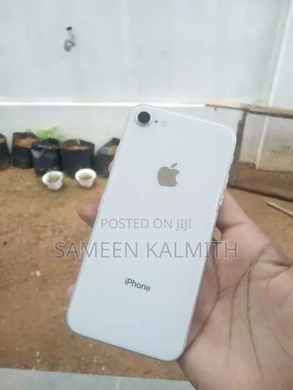 Apple iPhone 8 (Used)