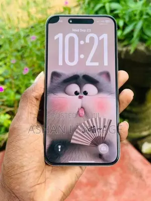 Apple iPhone 15 Pro Max (Used)