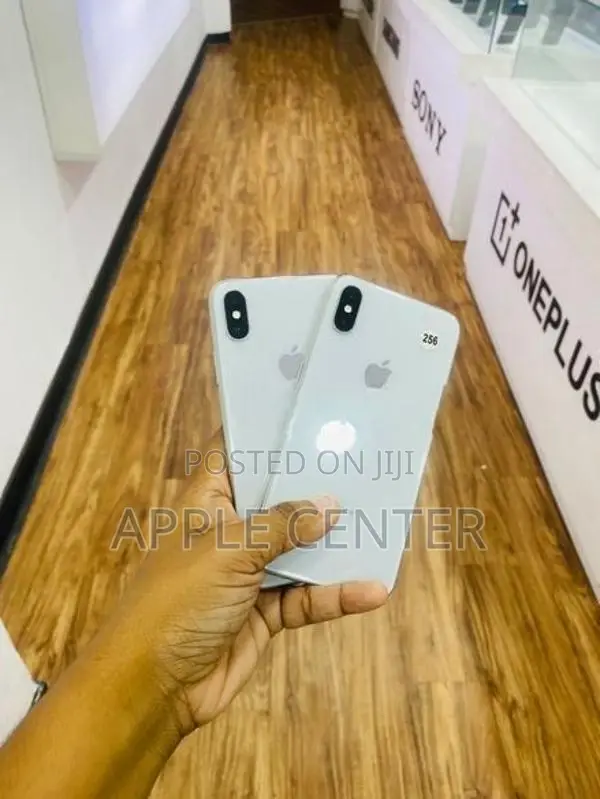 Apple iPhone X (Used)
