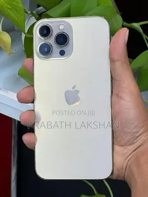 Apple iPhone 13 Pro Max (Used)