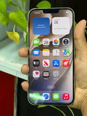 Apple iPhone 13 Pro Max (Used)