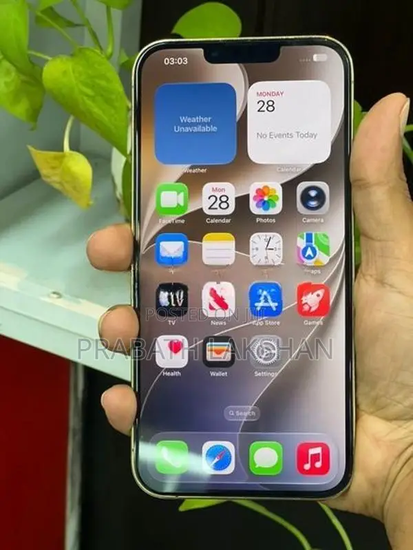 Apple iPhone 13 Pro Max (Used)