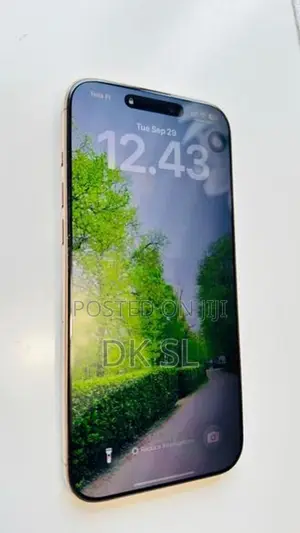 Apple iPhone 16 Pro Max (Used)