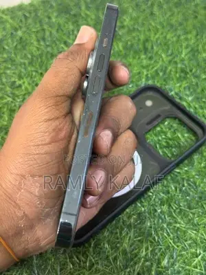 Apple iPhone 13 Pro (Used)