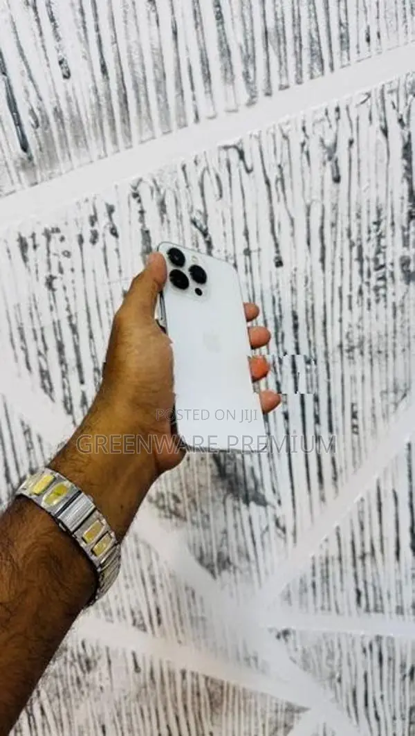 Apple iPhone 13 Pro 256GB (Used)