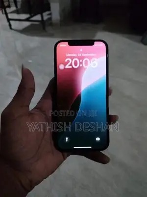 Apple iPhone 12 (Used)