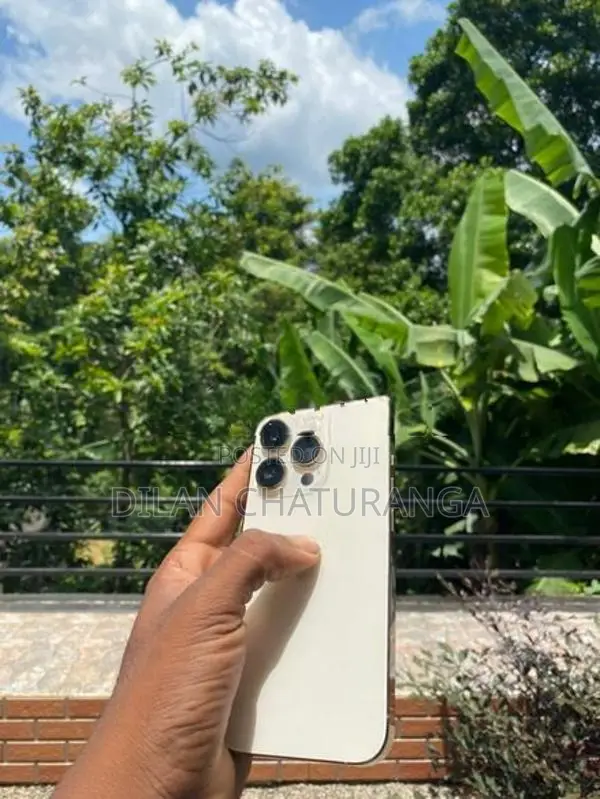 Apple iPhone 14 Pro (Used)