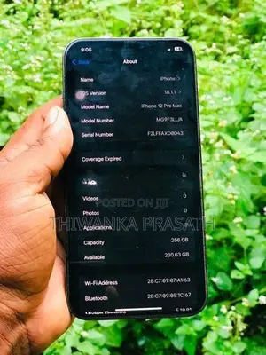 Apple iPhone 12 Pro Max (Used)