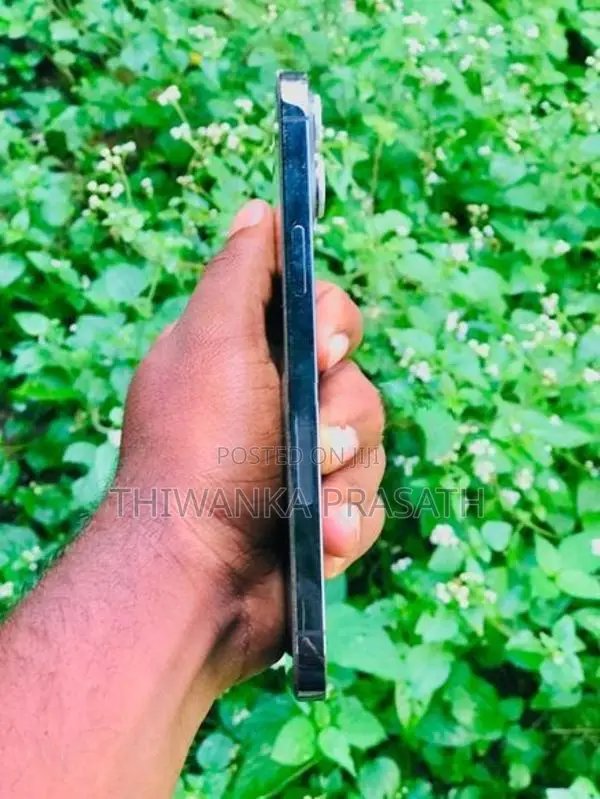 Apple iPhone 12 Pro Max (Used)