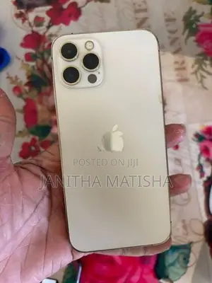 Apple iPhone 12 Pro (Used)
