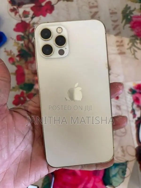 Apple iPhone 12 Pro (Used)