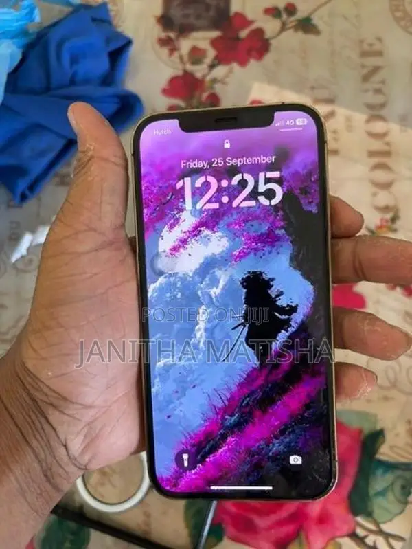 Apple iPhone 12 Pro (Used)