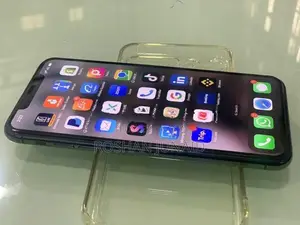Apple iPhone 11 Pro Max 256GB (Used)