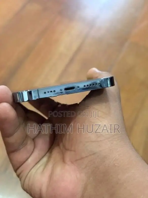 Apple iPhone 13 Pro Max (Used)