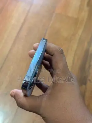 Apple iPhone 13 Pro Max (Used)