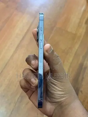 Apple iPhone 13 Pro Max (Used)