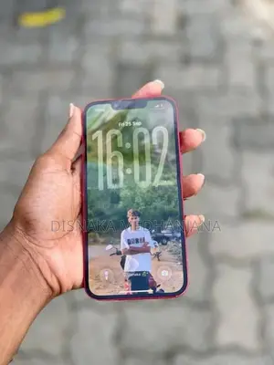 Apple iPhone 13 (Used)