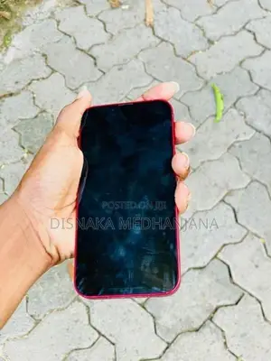 Apple iPhone 13 (Used)