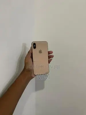 Apple iPhone XS 256GB (Used)