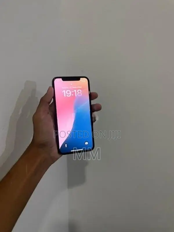 Apple iPhone XS 256GB (Used)