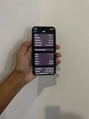 Apple iPhone XS 256GB (Used)