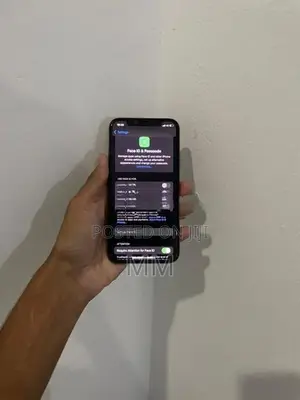 Apple iPhone XS 256GB (Used)