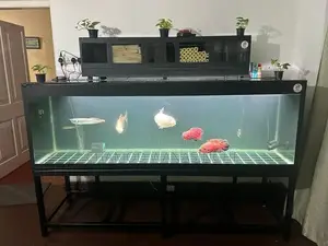 Fish Tank