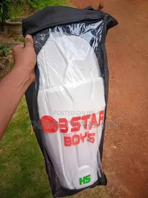 Full Cricket Set