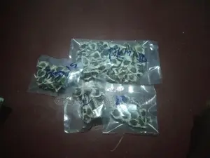 Pkm1 முருங்கை