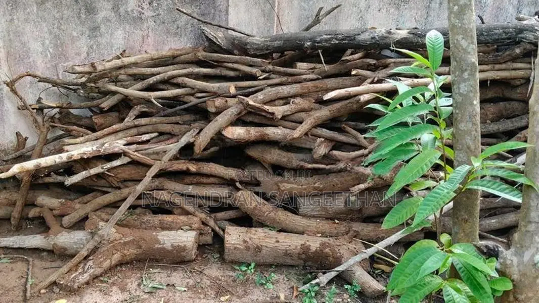 வேம்பு மா புளி விறகு