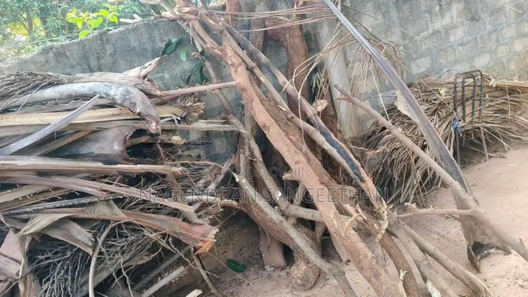 வேம்பு மா புளி விறகு