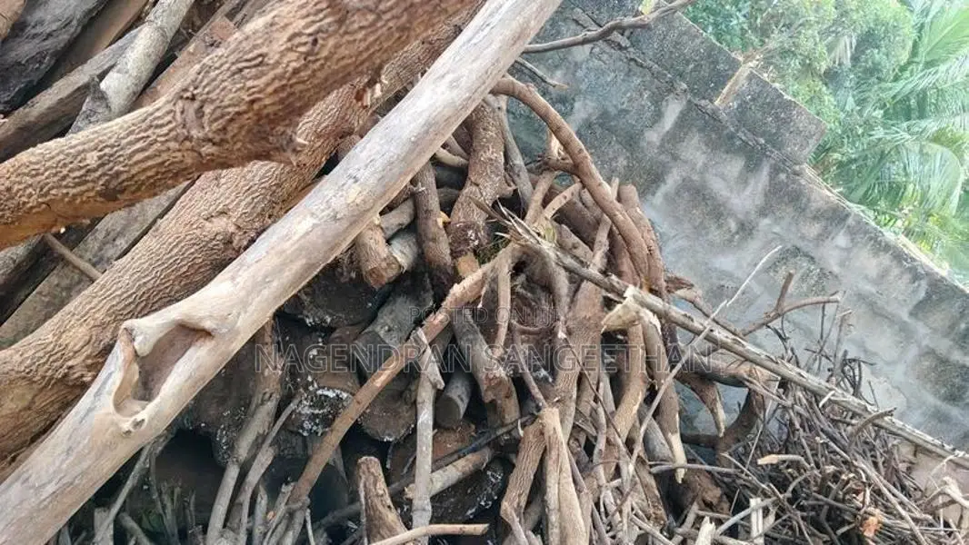 வேம்பு மா புளி விறகு