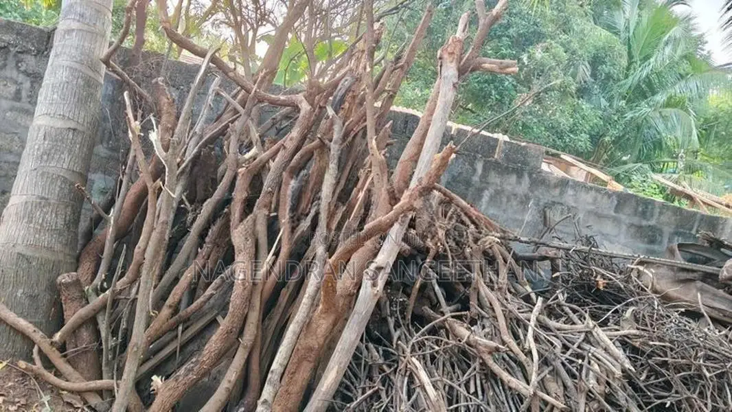 வேம்பு மா புளி விறகு