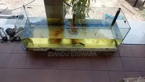 4ft Fish Tank