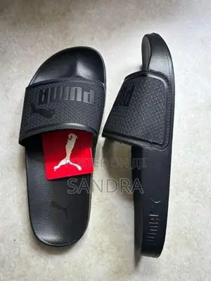 PUMA Leadcat Slides