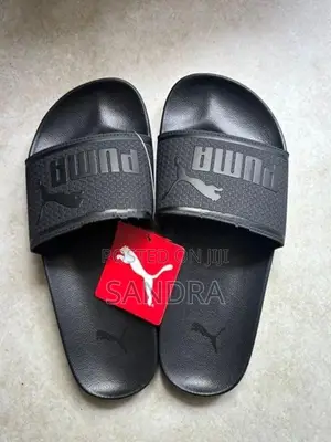 PUMA Leadcat Slides