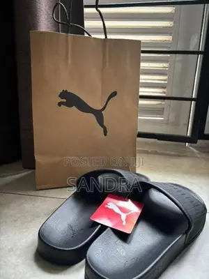 PUMA Leadcat Slides