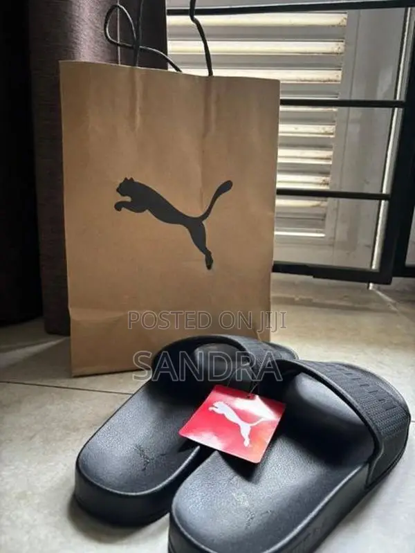 PUMA Leadcat Slides