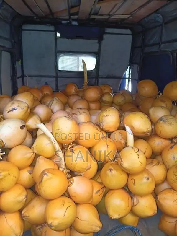 තැඹිලි