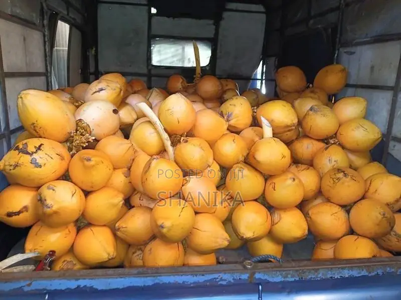 තැඹිලි