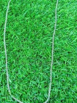 Silver Chain