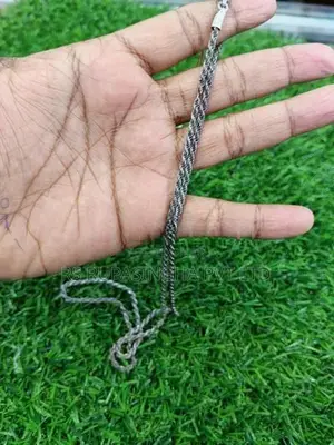Silver Chain