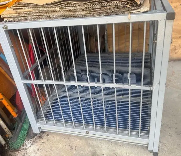 Dog Cage