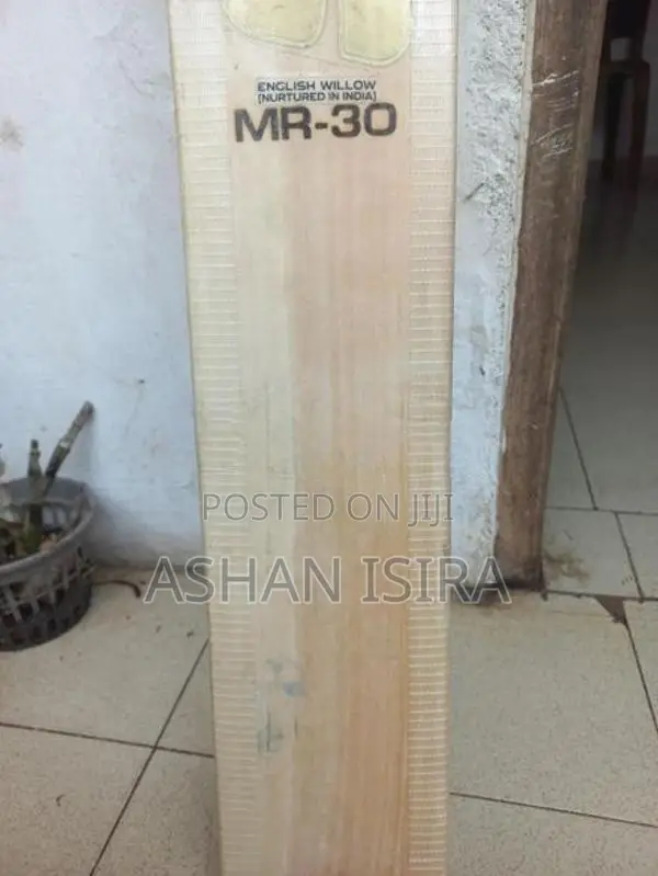 Cricket Bat